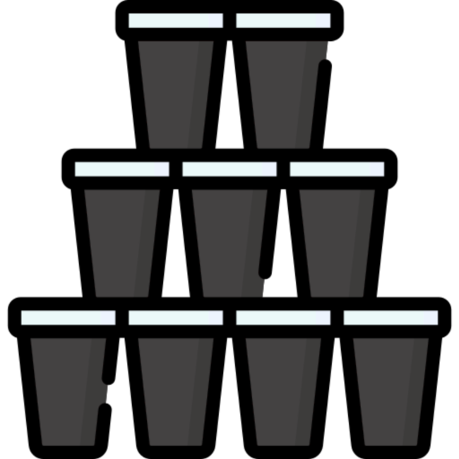 Paper Cups and Lids